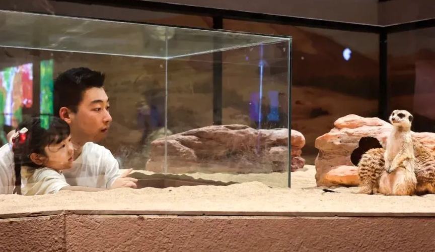 从海洋到沙漠！青岛科技馆年度特展“热浪”来袭